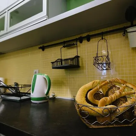 Charming And Cozy Near Center Apartment Novi Sad